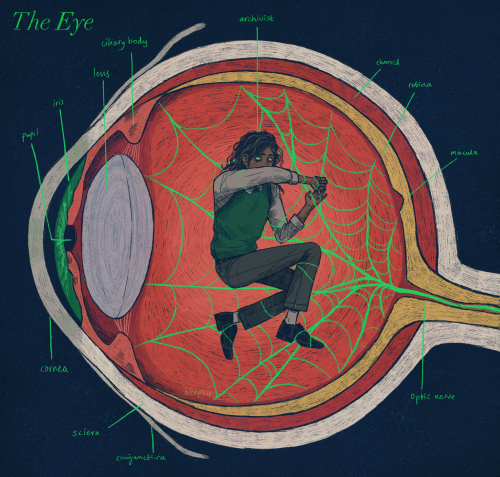 ID: The Magnus Archives fan art, an anatomical illustration of an eye. Inside it, the optic nerve transitions into a bright green spiderweb. Jonathan Sims, labelled "archivist", is caught in the web. End ID