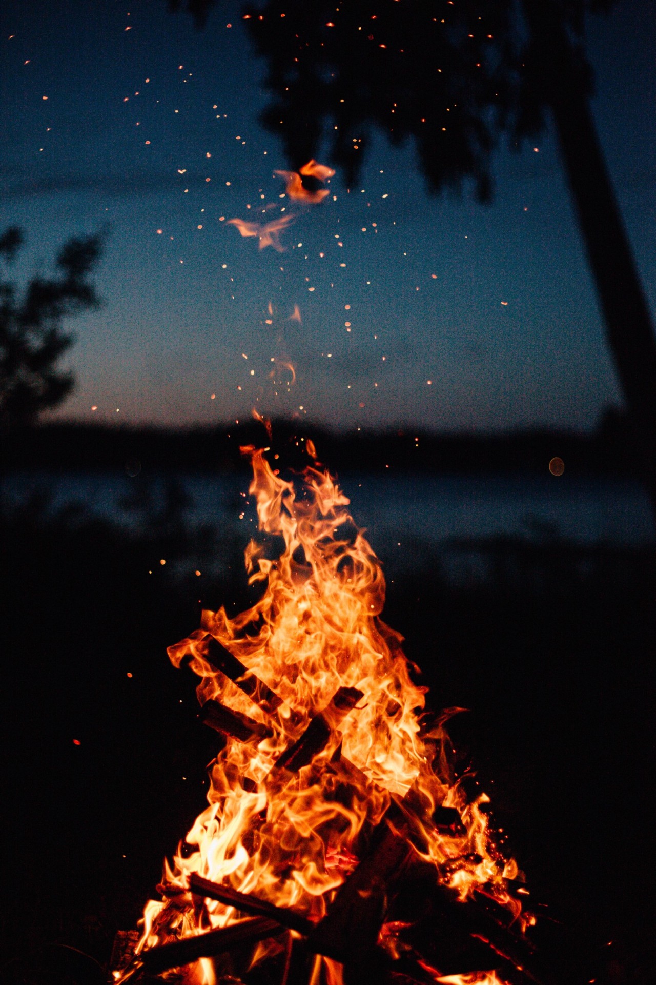 embrace-the-wild:  w–o–o–d–l–a–n–d:    ↟ explore more pics by Woodland,
