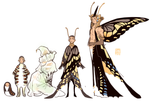 japhers: chibiwing: japhers: Swallowtail Growth Chart™ So is Swallowtail naked in all these or
