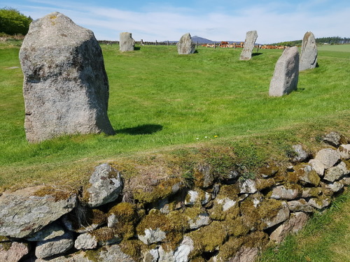 Easter Aquhorthies Neolithic Recumbent Stone Circle, Aberdeenshire, 19.5.18.