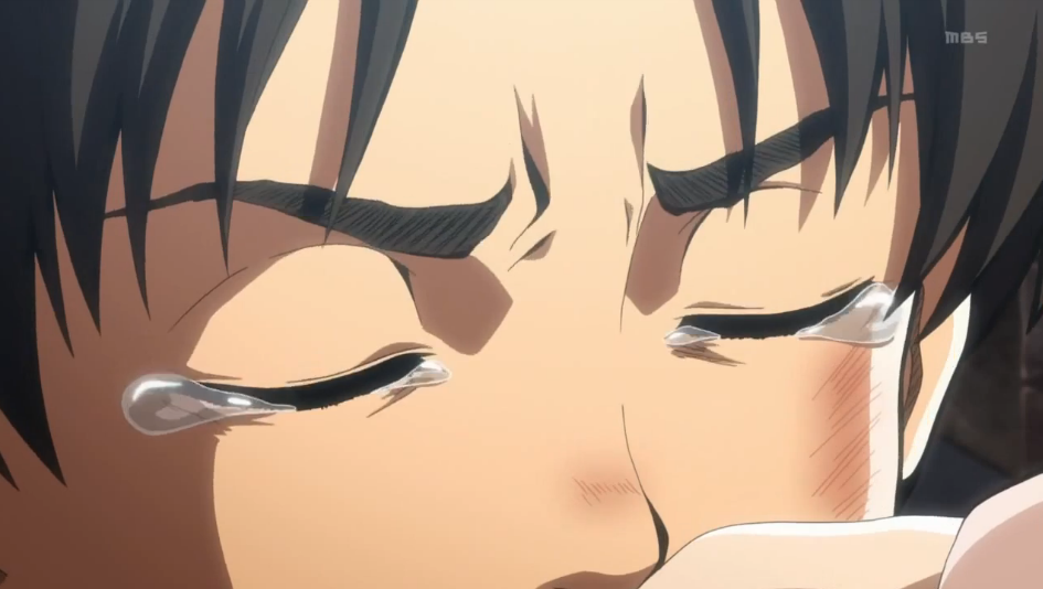 arminarmyarlert:  lance-corporal-rivaille:  lets-fangirl:  I heard people saying