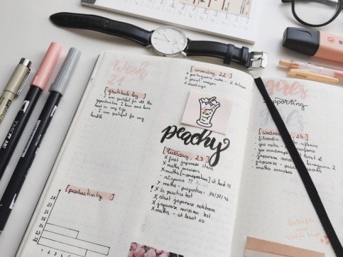 slytherin-study-ing:some images of my lil peachy bujo