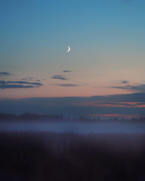 dyadyavasya:Ночной пейзаж с туманом и месяцем . #russia #leningradregion #vsevolozhskiydistrict #sko