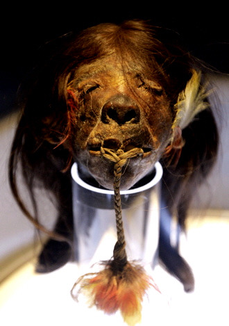 Shuar (a shrunken head) — is a human head that has been processed and prepared removing much flesh and all bone, shrinking it in the process, filled with sand, for ritual use or trade. A shrunken head is a severed and specially prepared human head