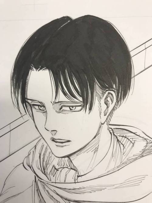 snknews: Original Isayama Hajime Sketch of Levi Being Auctioned to Benefit AIDS Orphans The Japan AIDS Orphan NGO PLAS (Positive Living Through Aids Support, aka Plus) has shared an original sketch of Levi that Isayama Hajime has donated for its charity