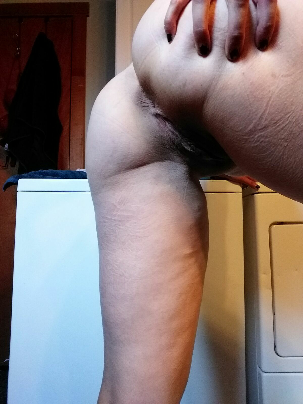 kinky-kitten-blr:  Butt 😸  Take this poll please http://www.strawpoll.me/15918060/r
