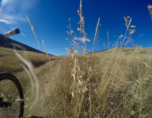 Getting some long rides in as I get ready for the Transandes. When you have scenery like this it rea