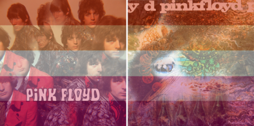 yourfavealbumisgay: Pink Floyd‘s studio albums are claimed by the lesbians! (requested by anon