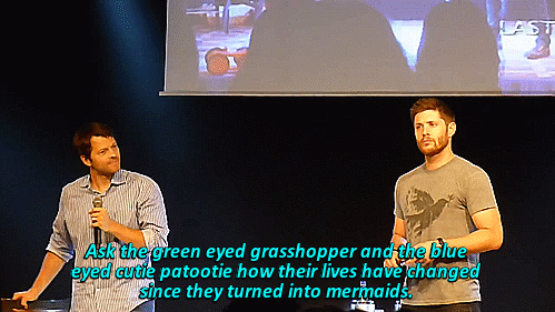 mrsivashkov-winchester:  [x]