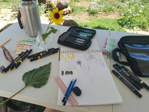 I&rsquo;m teaching a virtual nature journaling workshop @californiabotanicgarden! See the repost