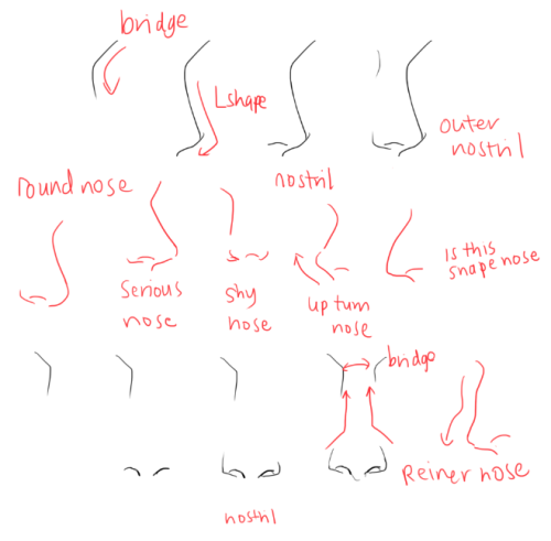 kelpls:UMM PEOPLE ASKED ABOUT NOSES AND EARS SO YEAH!!  please look up real references too don’t jus