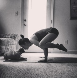 myplaceforinspiration:  Crow pose love. 