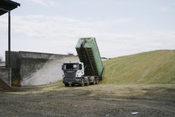 waidwund:  » milk production « filling silage pit with chopped maize for a big number (1500) of dairy cattle. industrial farming - left lower rhine area, germany // 09-2017