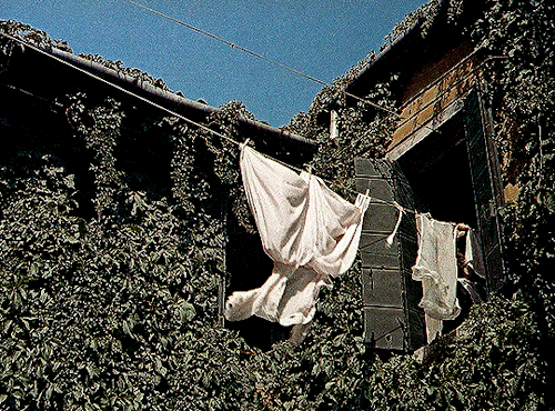 When In Italy, You Should Meet Italians! SUMMERTIME (1955), Dir. David Lean 