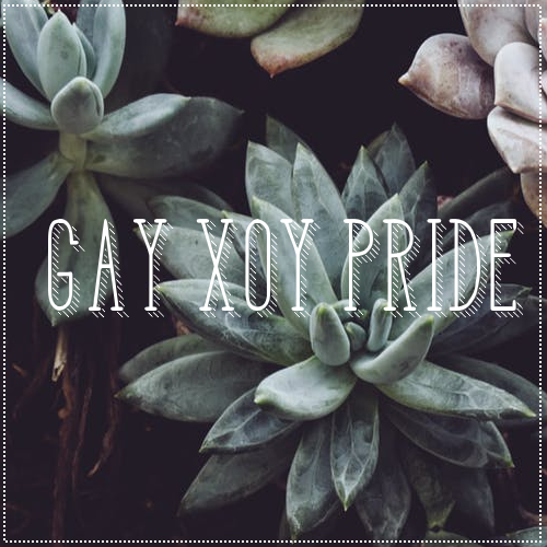 [Image Description: A picture of succulent plants with text over it that reads “gay xoy pride&