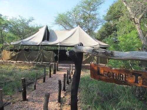 Rangers need your help!! Their home base tent was destroyed in a storm. The place they eat, learn, g