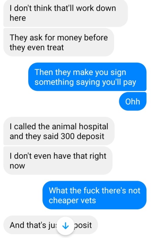 Sorry Guys But My Cat Is Going To Die Soon If He Doesn't Get Some Help