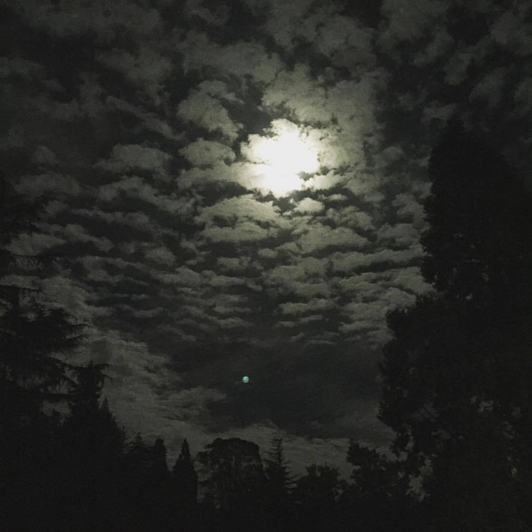 After work. (Berkeley Hills, Berkeley, California)