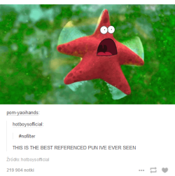 isilverandcold:  The best puns of Tumblr