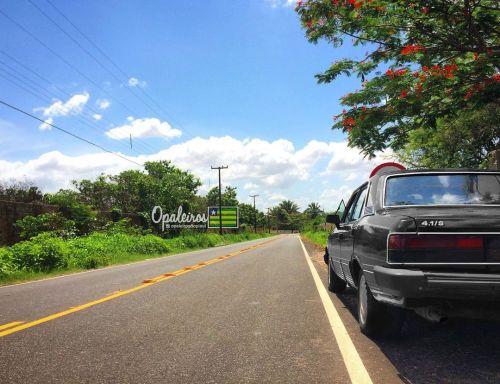 #diplomata #opala #6cilindros #4.1/s #opaleiro #opaleirosdopiaui
https://www.instagram.com/p/CqYcoeiOkgc/?igshid=NGJjMDIxMWI=