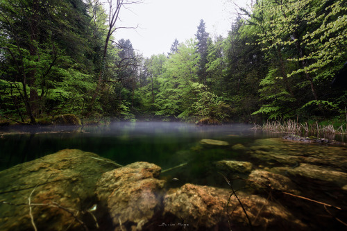 bmuqa:Underwater stones