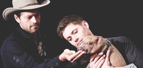 jensenacklesmishacollins:  [x]                 