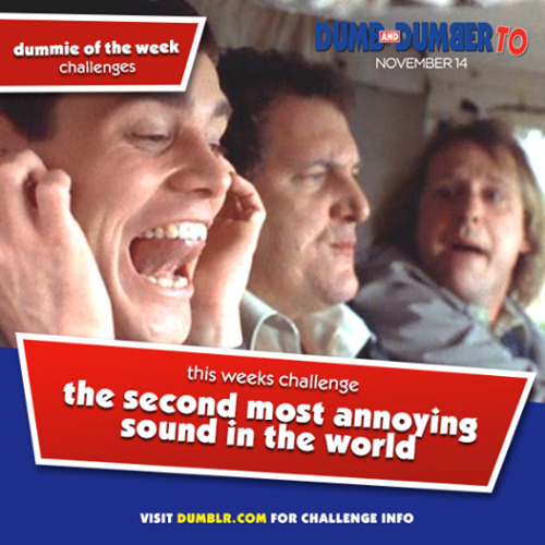 Help us shatter a few eardrums! Send us the second most annoying sound in the world to be the Dummie