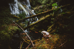 corwinprescott:  &ldquo;Into the Wild&rdquo;Gifford Pinchot National Forest, Wa 2014Corwin Prescott - Bully Suicide - Full series Blog on Patreon