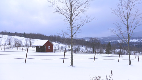 Morning commute in Vermont