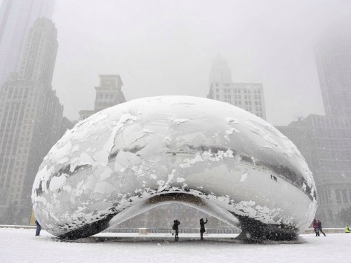 shoshanna37:  Chicago under ice, couple days ago. January 2014 