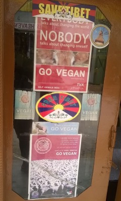 havocados:  sauvignonfears:  havocados:  sauvignonfears:  havocados:  sauvignonfears:  havocados:  carnistssaythedarndestthings:  letsphysics:  carnistssaythedarndestthings:  A vegan friend found this while camping in Leh. Leh, in the northernmost tip