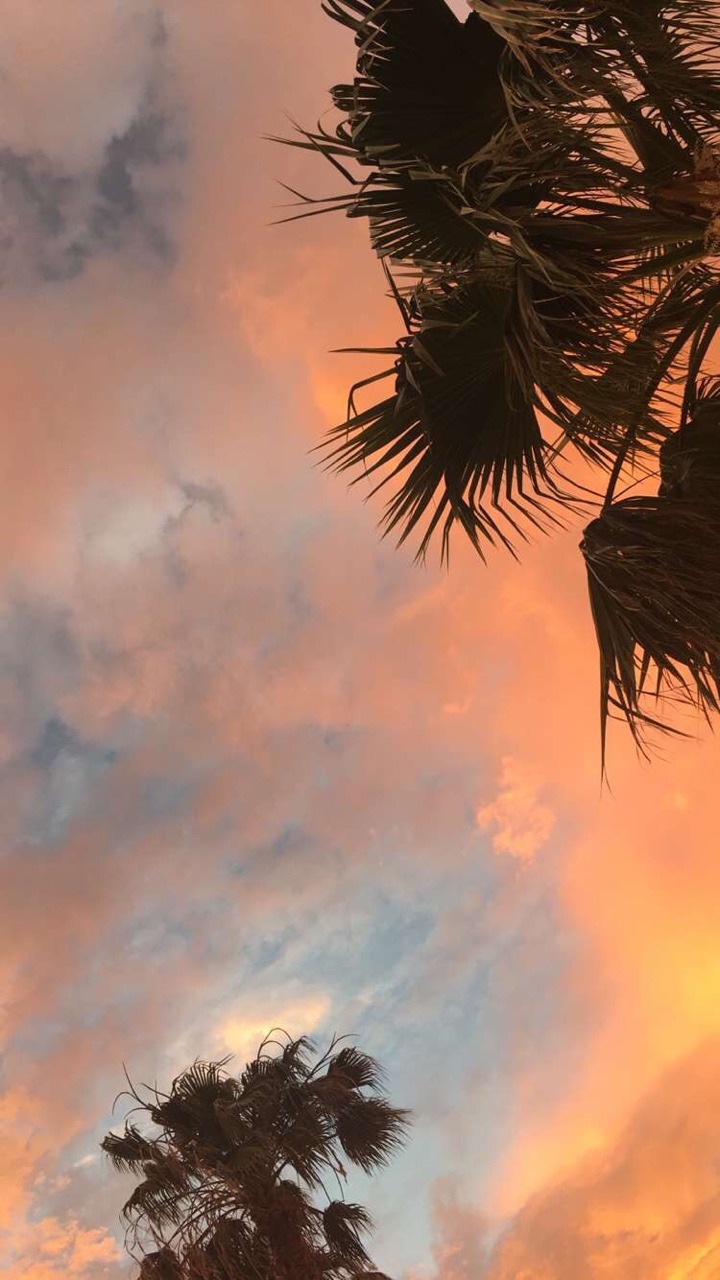 unpluggedhalo:  sunsets and @janicexxx