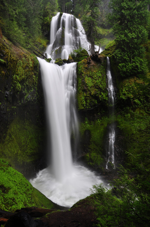 cuiledhwen:          Falls Creek Falls by greglief 