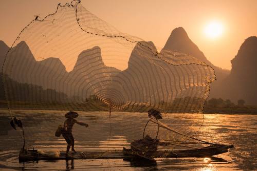 A dying artFor at least a thousand years Chinese fishermen have been working with cormorants to catc