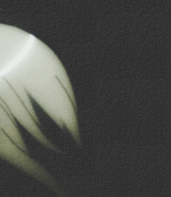 akumasasayaku-deactivated201505: You better listen to my song 