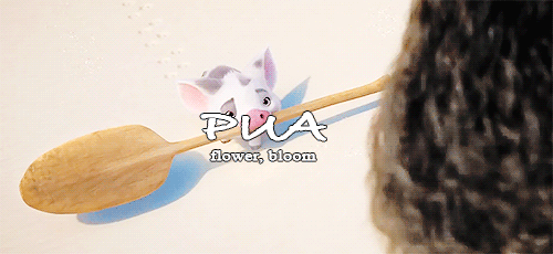 islafisher:Moana + name meanings