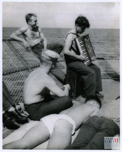 sailorgil:  “ The Accordion Player “