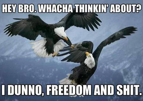 captainairyca:  murica