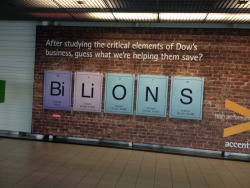 squided:  spicy-vagina-tacos:  sailoruranus:  thank u for saving bi lions  im so proud of the lions for coming out  reblog if u support saving bi lions 