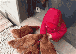 4gifs:  Go home baby you are drunk. [video]