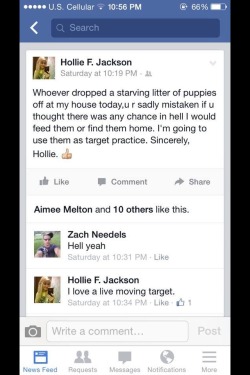 giraffeinatree:   realrandomsam:  zinge:  thatvegancosplayer:  imgonnamakeachange:  ball-deep:  natmare:  natmare:  This is a recent occurrence.,Hollie F. Jackson had a litter of puppies and decided to use them as target practice. She let them bleed out