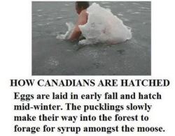 As a Canadian I can confirm the legitimacy of this information.
