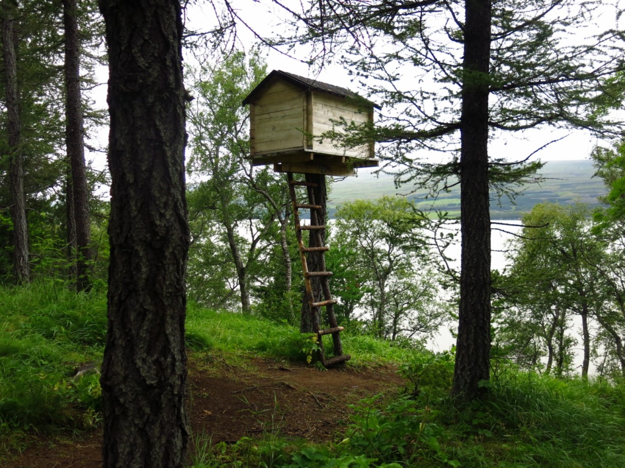 Watchtower around Hallormsstadur, Iceland
Used to search for the “Nessie of Iceland” in the Lagarfjlot lake
Submitted by Charles Gaspar