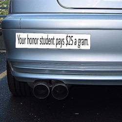 I would put this on my car, and I hate bumper