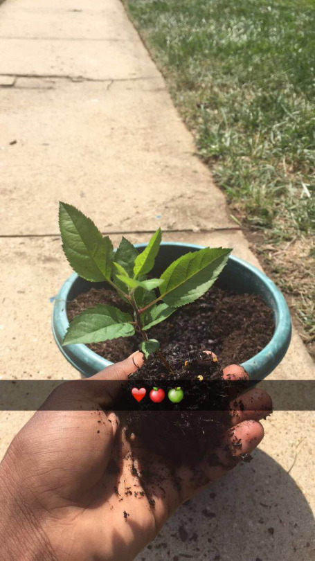 WHY YALL DONT GIVE MY PLANTS LOVE 😡😡😡😡😡😡 adult photos