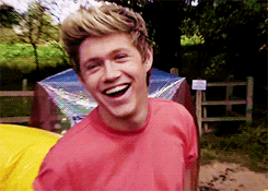 adoresnialler-blog:  when you smile the whole world stops and stares for a while 