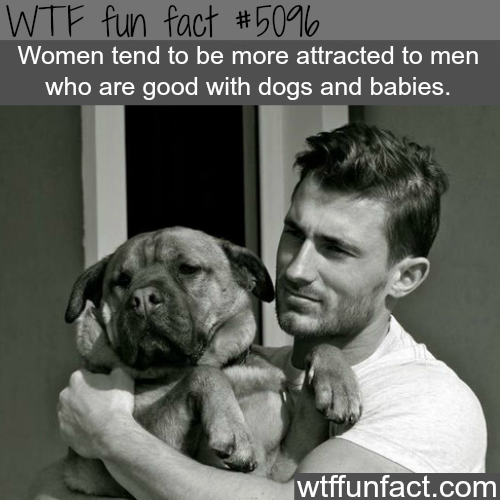 wtf-fun-factss:  Men who are good with babies and dogs - WTF fun facts