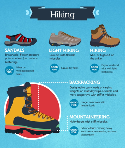 Infographic - How to Pick the Perfect Shoe for Any Workout