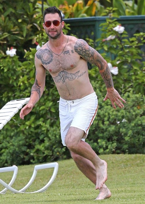 Adam Levine Barefoot