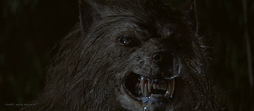 slumblr-party-massacre:Bad Moon || 1996 || Eric Red “Half man. Half wolf. Total terror.” #Monste